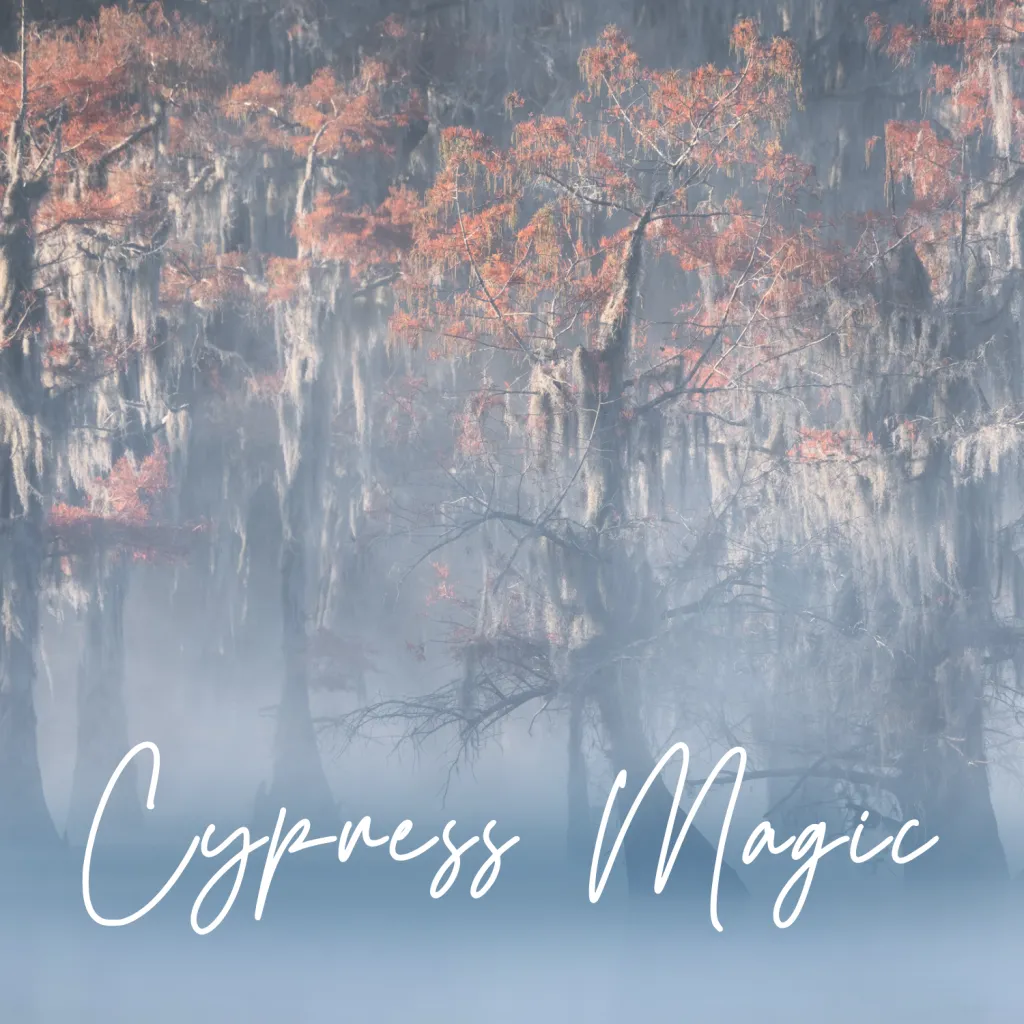 Cypress Magic
