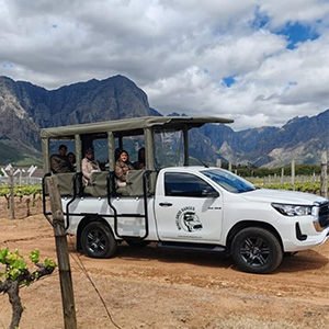 Winelands Ranger Wine Safari
