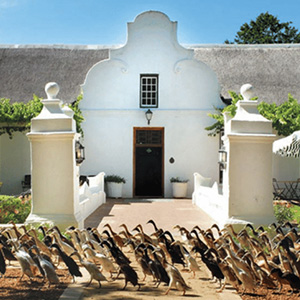 Vergenoegd Duck Parade