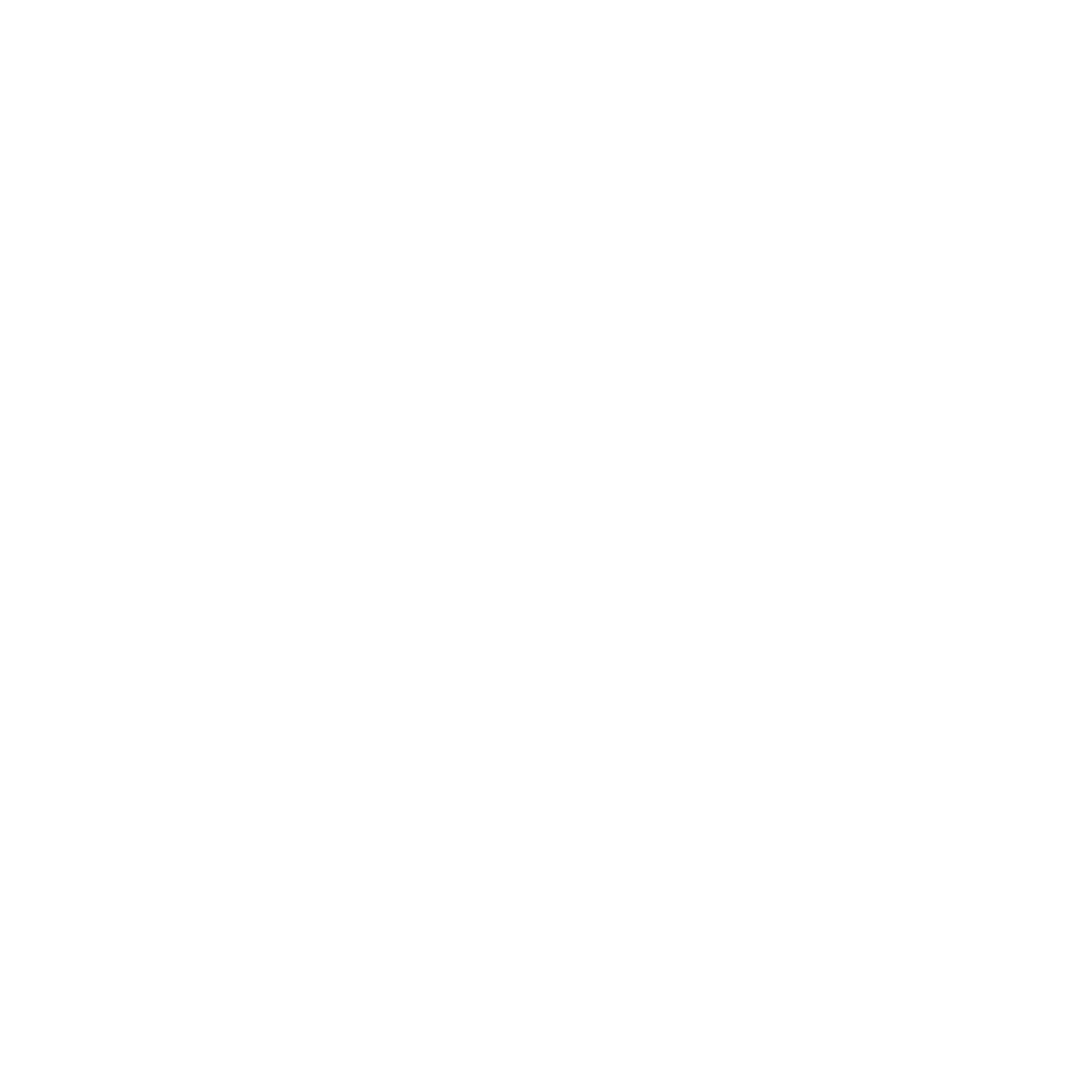 DelftRise Investments Logo