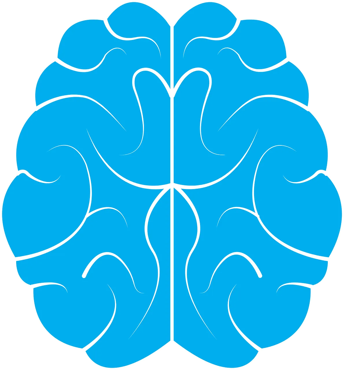 Brain Diagram