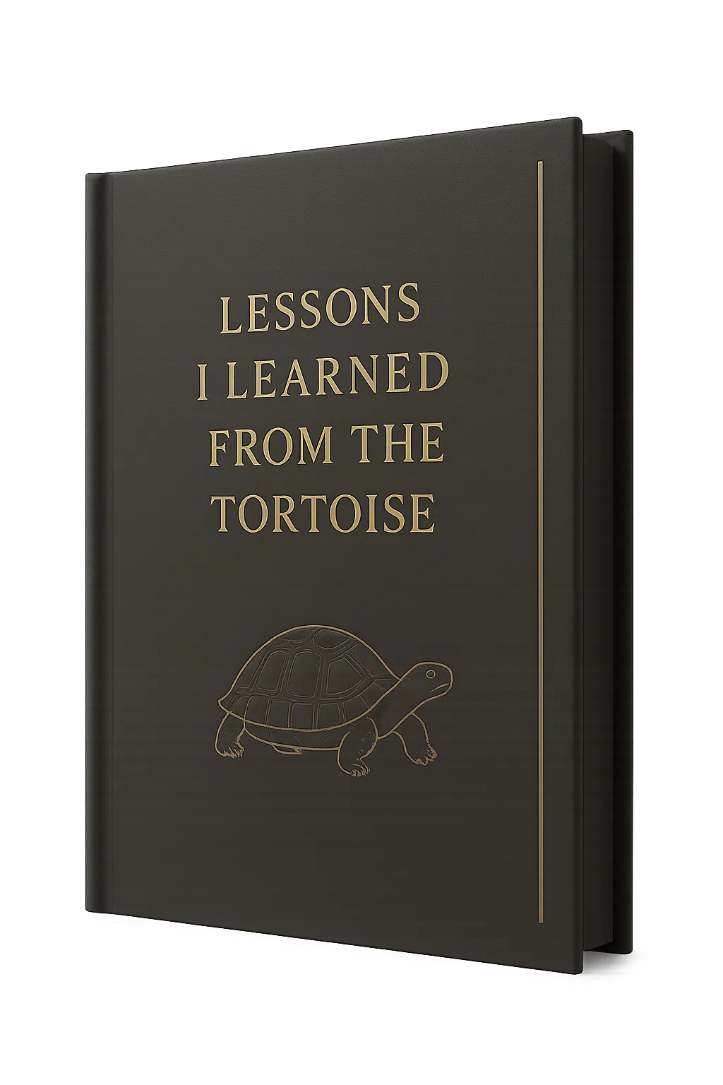Lessons I Learned from the Tortoise book cover
