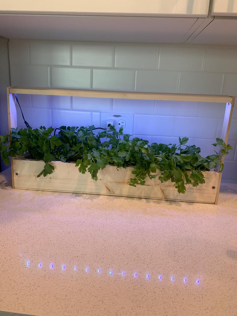 Countertop Herb Planter with Grow Lights