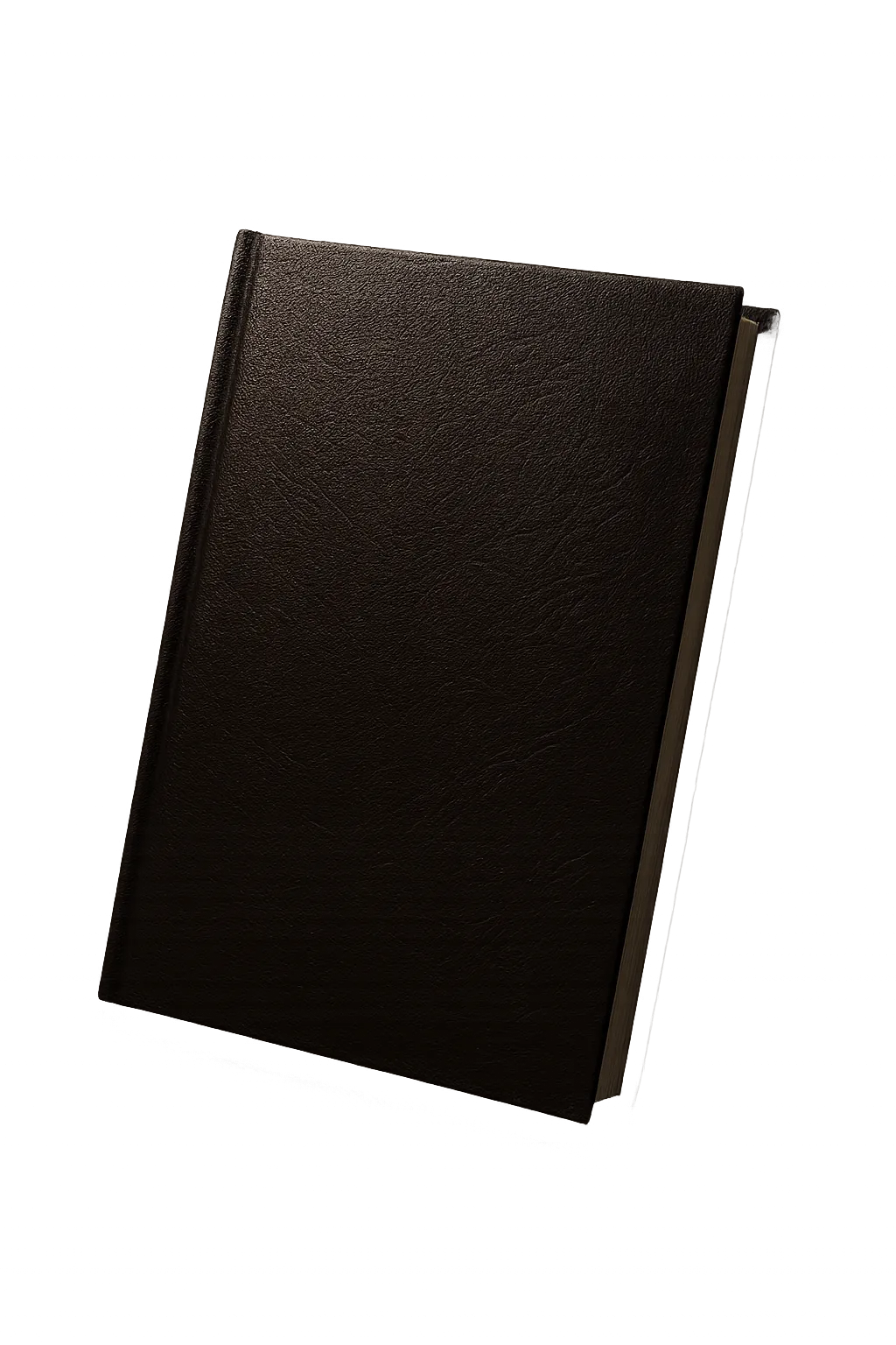 Virtue Over Vices hardcover reference manual mockup standing upright with elegant dramatic lighting