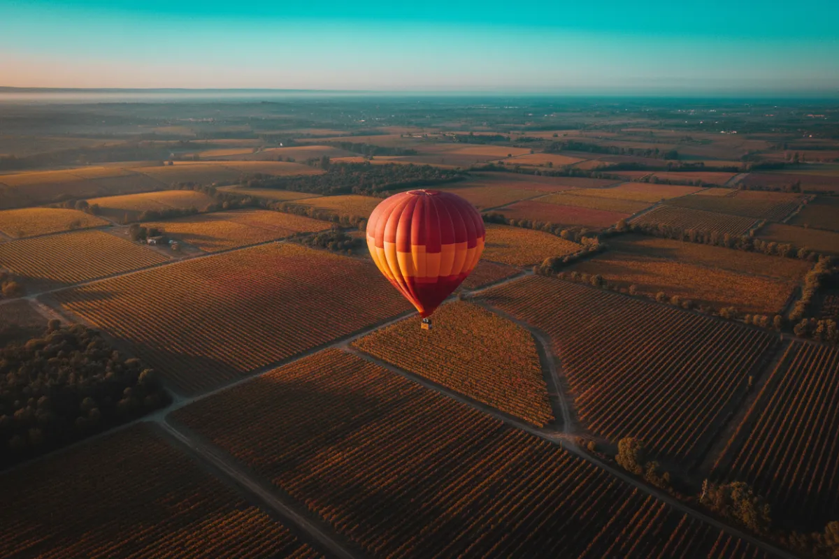 Best Vineyards to Spot from Above