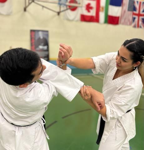 Adults Martial Arts Class