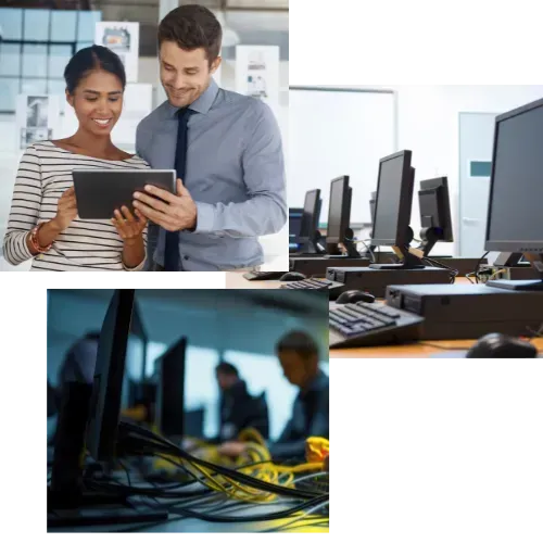 IT Professionals working