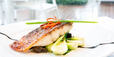 Halibut