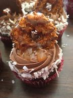 Gourmet Cupcakes