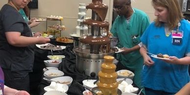 Chocolate Dessert Bar