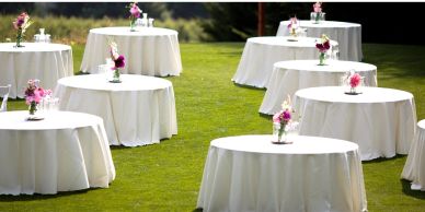 Reception Rentals