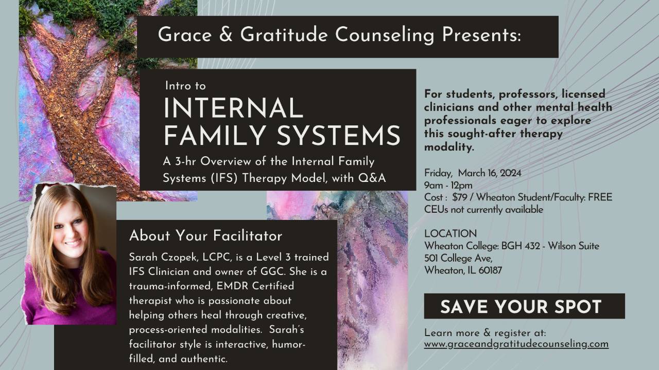 Intro to Internal Family Systems