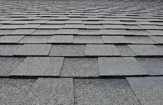 Asphalt shingle roofing