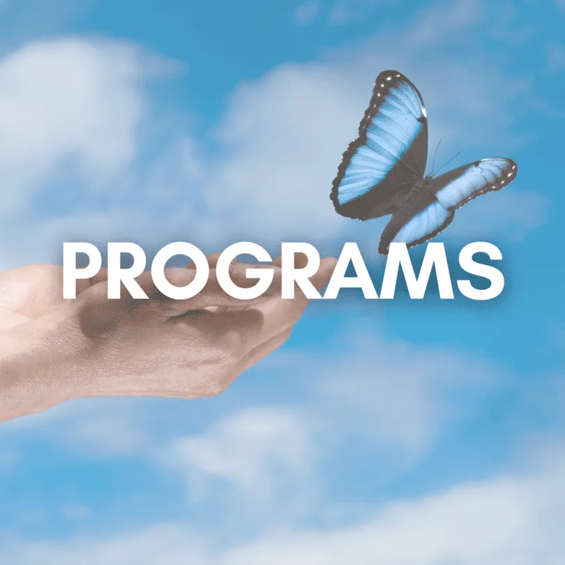 Programs