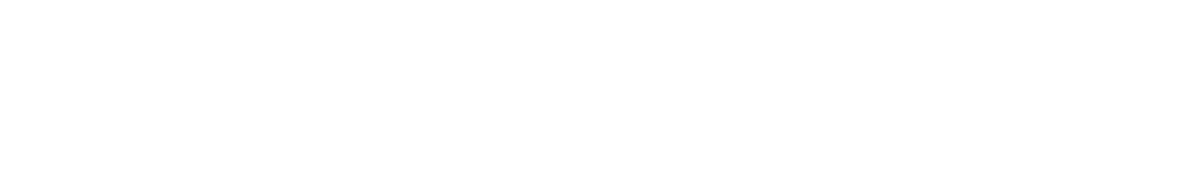 levelpartner.ai Logo