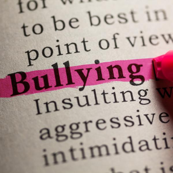 Bullying