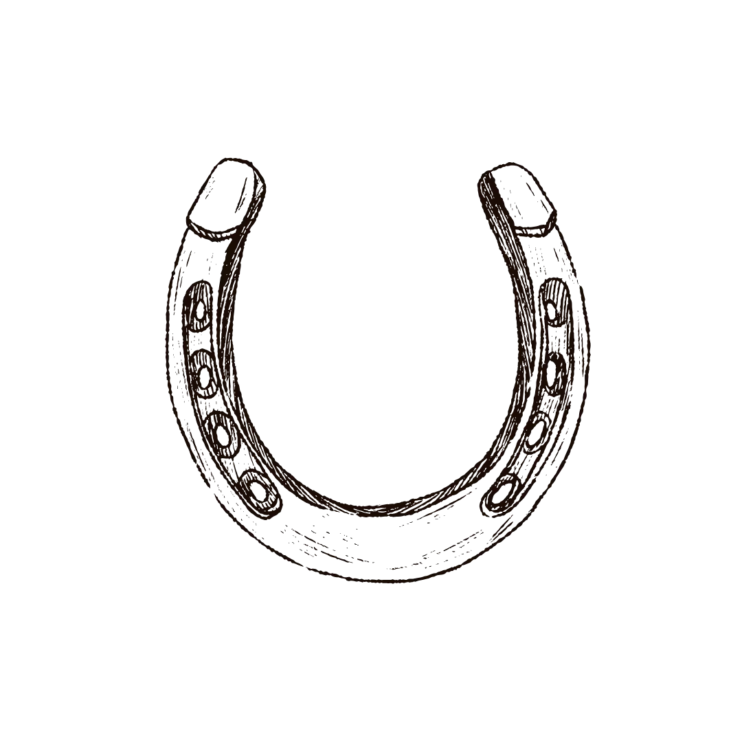 Horseshoe Icon