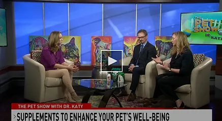 Supplements to enhance your pet's well-being