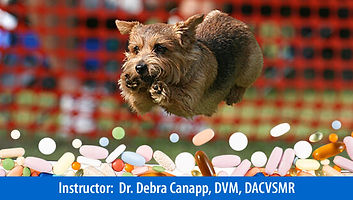 Nutraceuticals Webinar Thumbnail