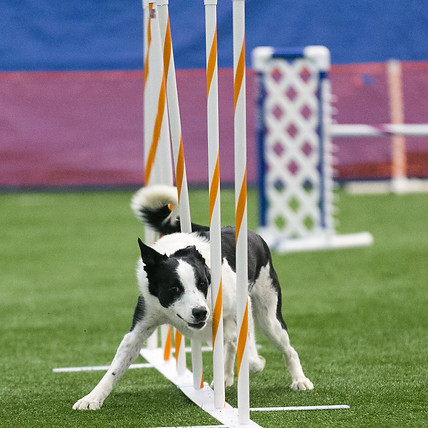 Benefit Agility
