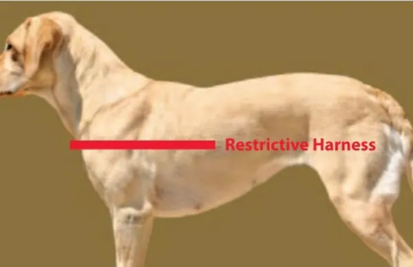 HARNESSES FOR AGILITY DOGS