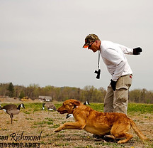 dog training-83 edit