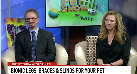 Bionic legs, braces and slings to help pets recover from injury