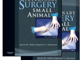 Veterinary Surgery: Small Animal
