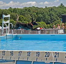 Maicoh dock diving