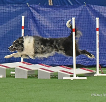 Shazam jumping
