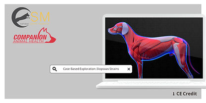 iliopsoas banner (6).jpg