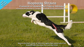Iliopsoas Strains Webinar Thumbnail
