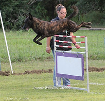 Maicoh hurdle