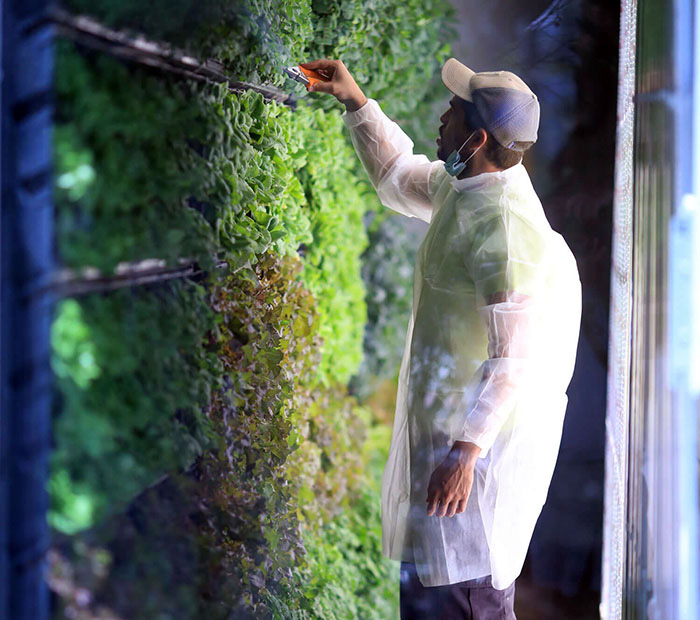 sustainable food water solutions