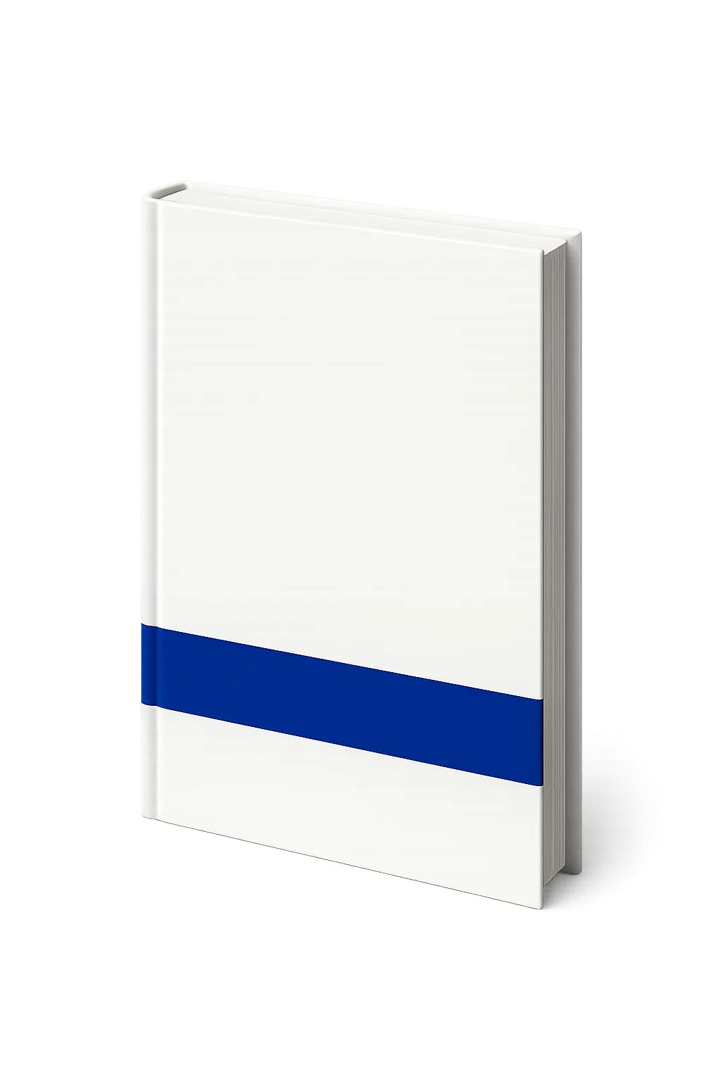 Realistic 3D mockup of the CMBI Audit Readiness Guide standing on an executive surface