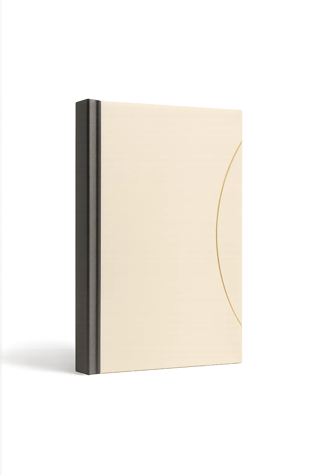 Cover of literary contemporary novel