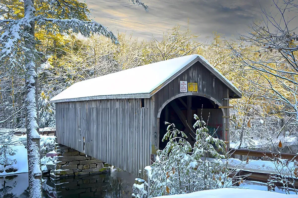 Winter Scenics