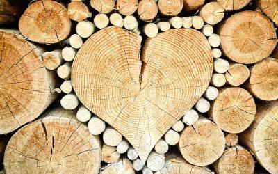 Chop Wood, Carry Water
