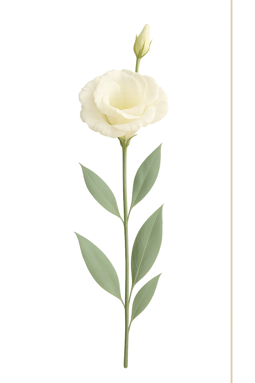 Dettaglio botanico elegante
