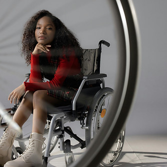 Wheelchair and transfer assistance