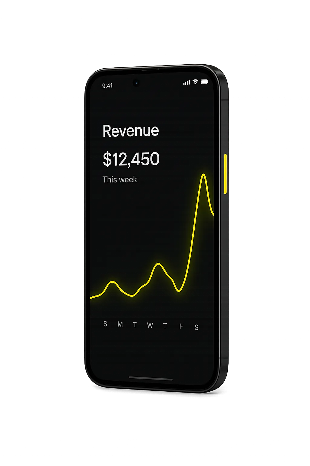 Dashboard screenshot showing $12K revenue