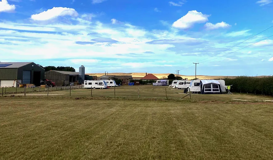 A rural touring area at Bungalow Farm in Buckton with caravans set on a grassy field beside farm buildings and open countryside under a bright sky.