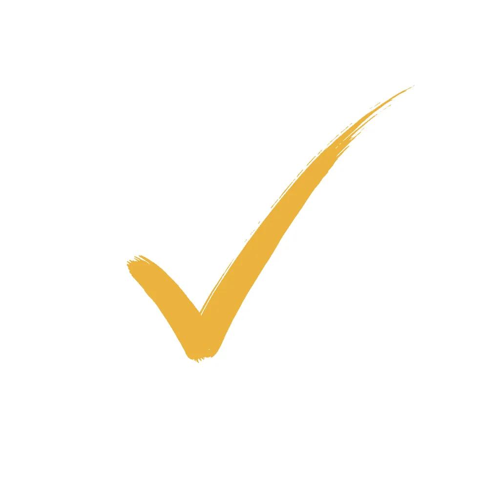 Checkmark Badge Icon