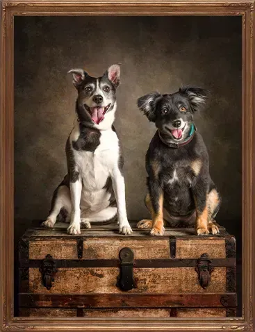 Framed dog portrait artwork leaning on a shelf