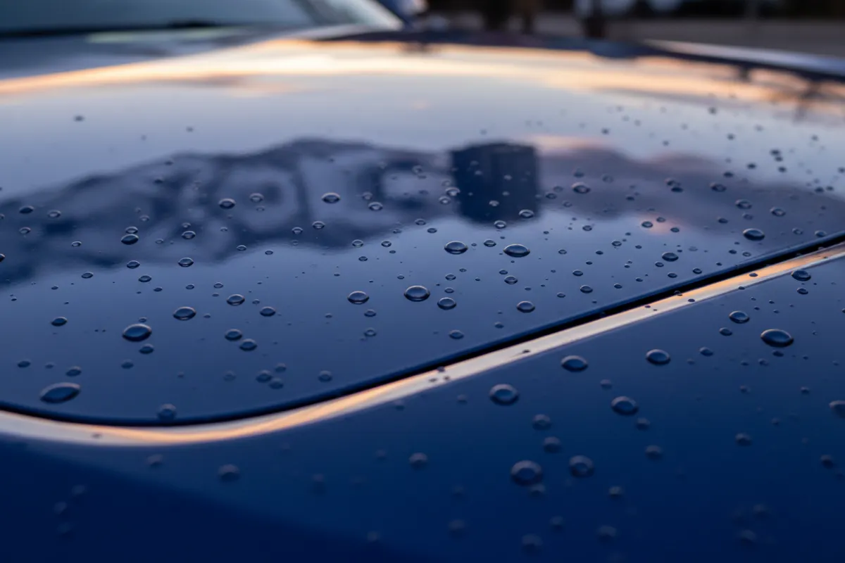 Ceramic coating in Logan, Utah showing water beading on a freshly protected vehicle surface for long-lasting paint protection and high gloss finish.