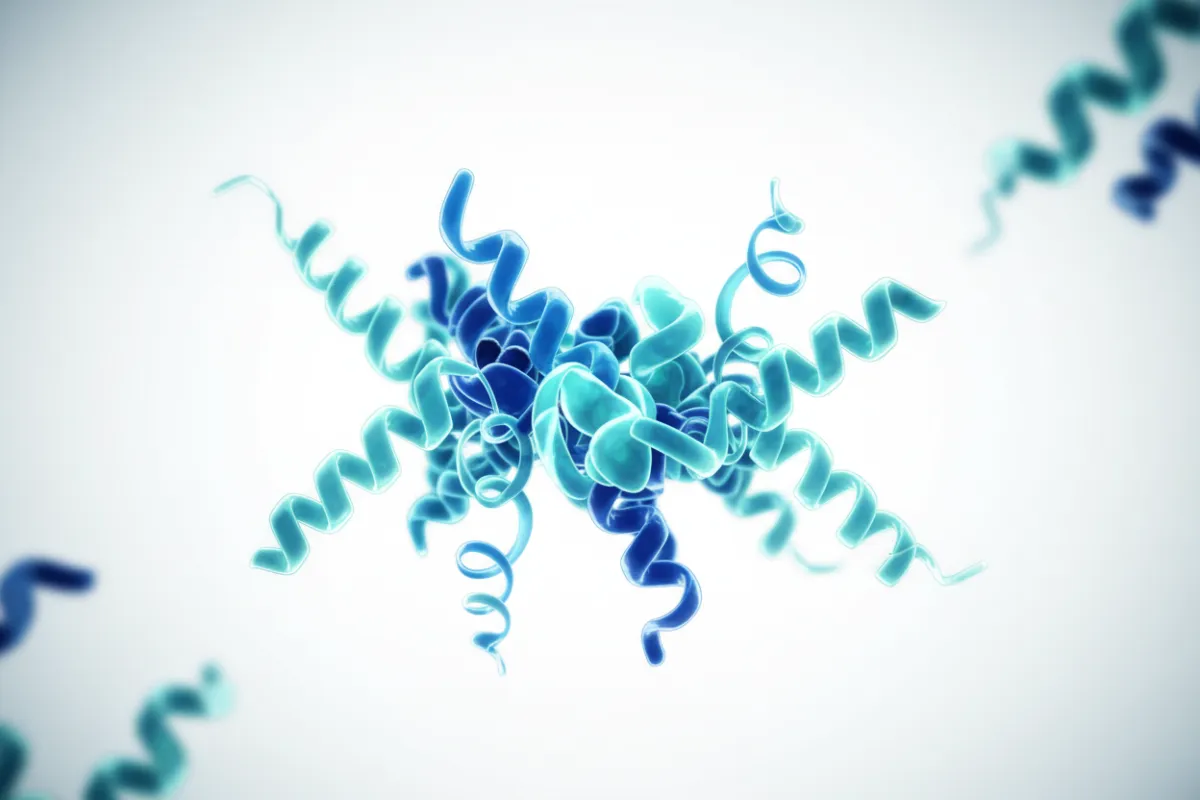 Active adults in motion exploring peptides