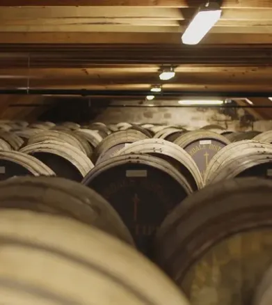 Overhead view of whisky casks