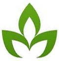 Wah Joy logo leaf
