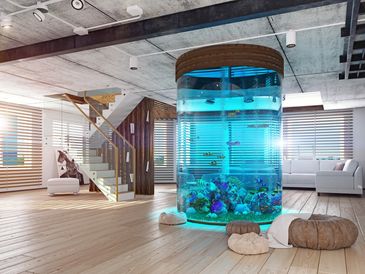 Aquarium