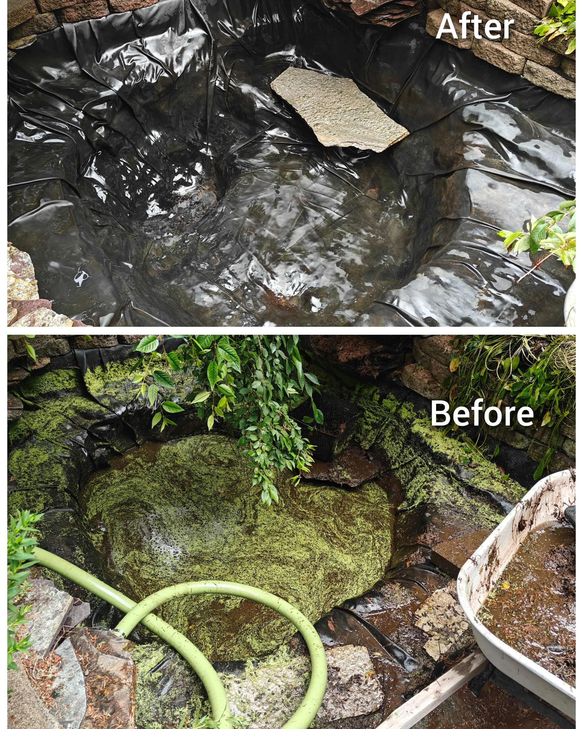 Aquarium before and after 2